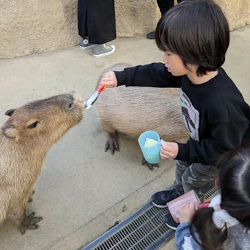 神戸どうぶつ王国に投稿された画像（2024/1/22）