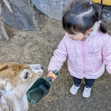 神戸どうぶつ王国に投稿された画像（2024/1/22）