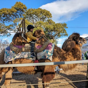 神戸どうぶつ王国に投稿された画像（2024/1/22）