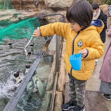 神戸どうぶつ王国に投稿された画像（2024/1/22）