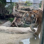 神戸どうぶつ王国に投稿された画像（2024/1/22）