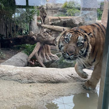 神戸どうぶつ王国に投稿された画像（2024/1/22）