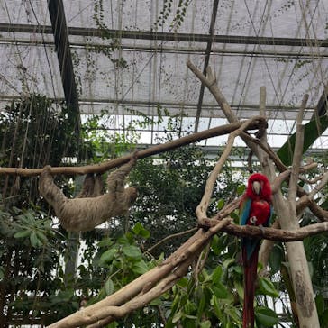 神戸どうぶつ王国に投稿された画像（2024/1/22）