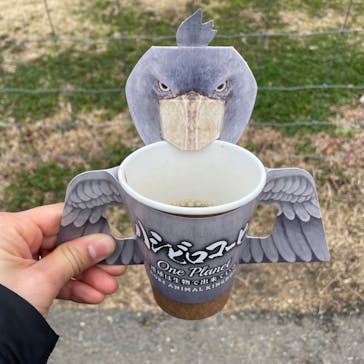 神戸どうぶつ王国に投稿された画像（2024/1/22）