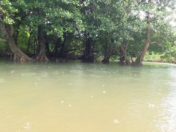 石垣島 ADVENTURE PiPi（イシガキジマアドベンチャーピピ）に投稿された画像（2024/1/22）