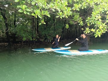 石垣島 ADVENTURE PiPi（イシガキジマアドベンチャーピピ）に投稿された画像（2024/1/22）