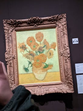 ゴッホと静物画　伝統から革新へ（SＯＭＰＯ美術館）に投稿された画像（2024/1/22）