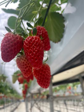 株式会社こまち野に投稿された画像（2024/1/22）