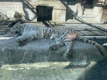 東武動物公園に投稿された画像（2024/1/22）