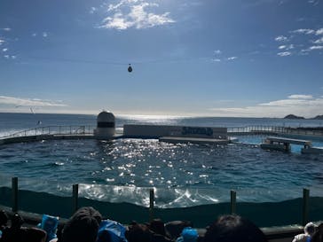 鴨川シーワールドに投稿された画像（2024/1/22）