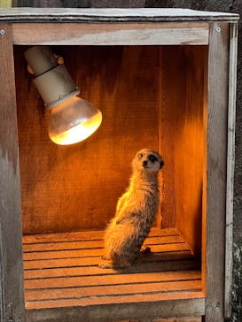 伊豆シャボテン動物公園に投稿された画像（2024/1/22）