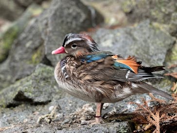伊豆シャボテン動物公園に投稿された画像（2024/1/22）