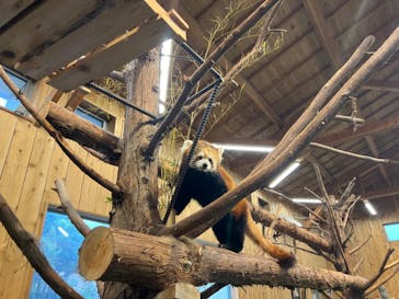 伊豆シャボテン動物公園に投稿された画像（2024/1/22）
