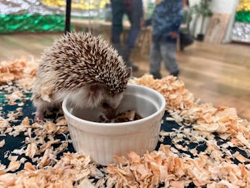 いきもの探検隊湘南に投稿された画像（2024/1/22）