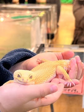 いきもの探検隊湘南に投稿された画像（2024/1/22）