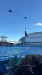 名古屋港水族館に投稿された画像（2024/1/22）