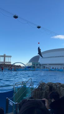 名古屋港水族館に投稿された画像（2024/1/22）