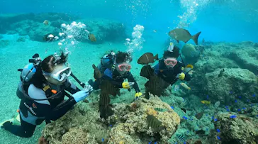 武藤潜水に投稿された画像（2024/1/22）