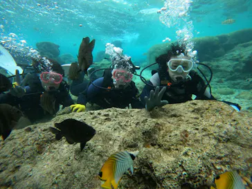 武藤潜水に投稿された画像（2024/1/22）