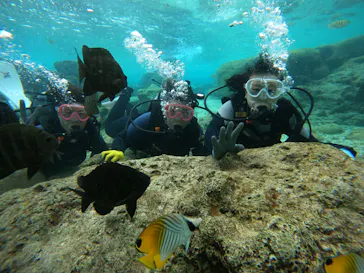 武藤潜水に投稿された画像（2024/1/22）