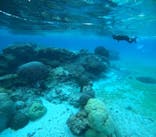 宮古島 ADVENTURE PiPi（ミヤコジマ アドベンチャー ピピ）に投稿された画像（2024/1/22）