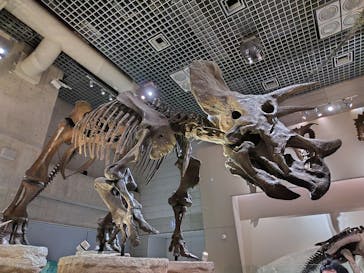 国立科学博物館に投稿された画像（2024/1/22）