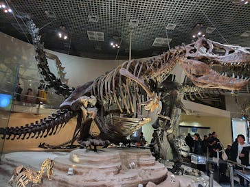 国立科学博物館に投稿された画像（2024/1/22）