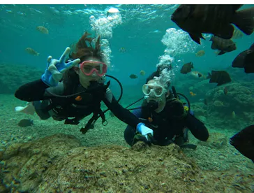 武藤潜水に投稿された画像（2024/1/22）