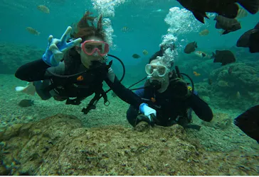 武藤潜水に投稿された画像（2024/1/22）