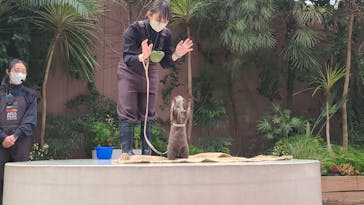 マクセル アクアパーク品川に投稿された画像（2024/1/22）