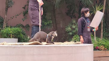 マクセル アクアパーク品川に投稿された画像（2024/1/22）