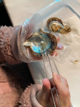 しながわ水族館に投稿された画像（2024/1/22）