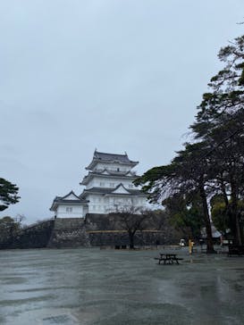 小田原城に投稿された画像（2024/1/22）