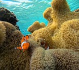 宮古島 ADVENTURE PiPi（ミヤコジマ アドベンチャー ピピ）に投稿された画像（2024/1/22）