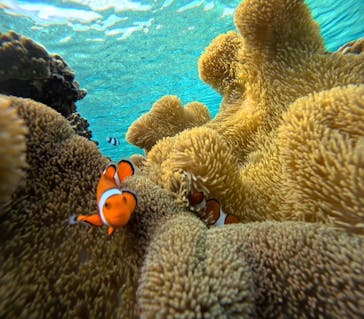 宮古島 ADVENTURE PiPi（ミヤコジマ アドベンチャー ピピ）に投稿された画像（2024/1/22）