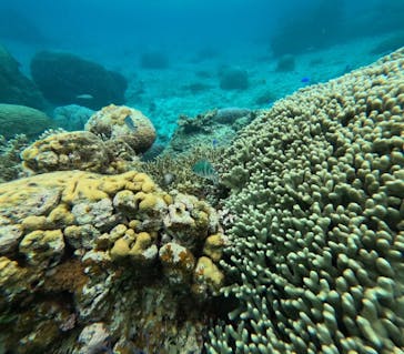 宮古島 ADVENTURE PiPi（ミヤコジマ アドベンチャー ピピ）に投稿された画像（2024/1/22）