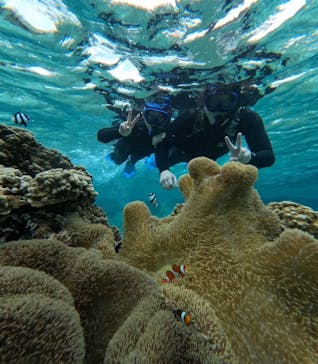 宮古島 ADVENTURE PiPi（ミヤコジマ アドベンチャー ピピ）に投稿された画像（2024/1/22）