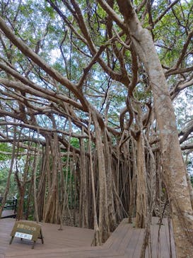 アスムイハイクスに投稿された画像（2024/1/22）