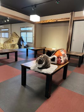 おさるランド＆アニタウン　日光さる軍団劇場に投稿された画像（2024/1/22）