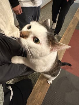 おさるランド＆アニタウン　日光さる軍団劇場に投稿された画像（2024/1/22）