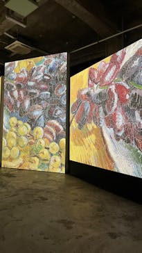 ゴッホ・アライブに投稿された画像（2024/1/22）