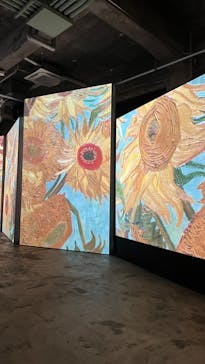 ゴッホ・アライブに投稿された画像（2024/1/22）