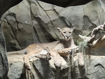 神戸どうぶつ王国に投稿された画像（2024/1/22）