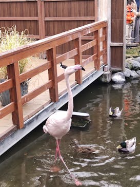 神戸どうぶつ王国に投稿された画像（2024/1/22）