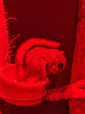 神戸どうぶつ王国に投稿された画像（2024/1/22）