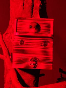 神戸どうぶつ王国に投稿された画像（2024/1/22）