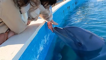 南知多ビーチランド＆南知多おもちゃ王国に投稿された画像（2024/1/22）