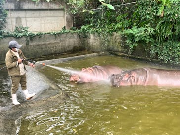 沖縄こどもの国に投稿された画像（2024/1/22）