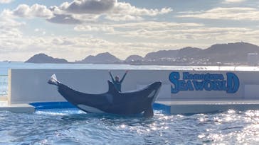 鴨川シーワールドに投稿された画像（2024/1/22）