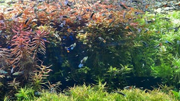 AQUARIUM × ART　atoaに投稿された画像（2024/1/22）